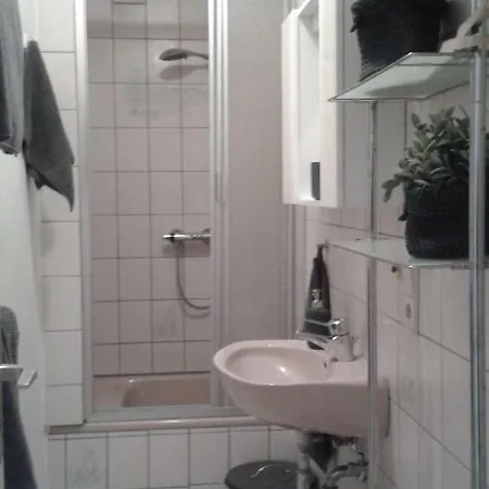 Black Forest Nest Apartment *